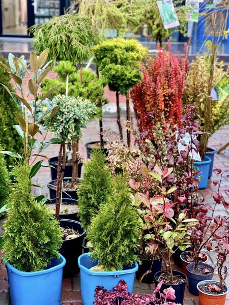 576840672_864866586216145_2770442786237728641_n