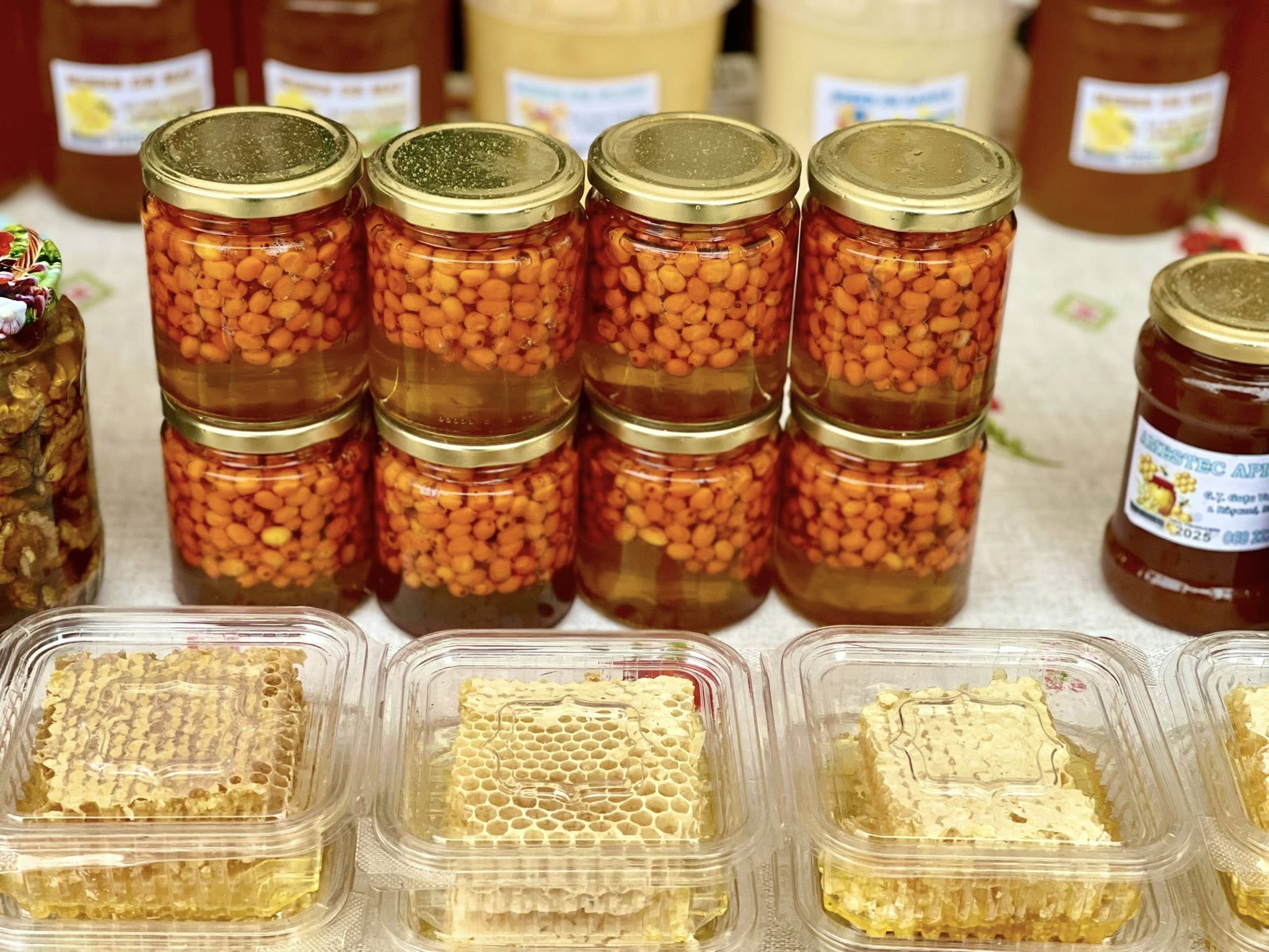 576969240_864866502882820_589218447108793600_n