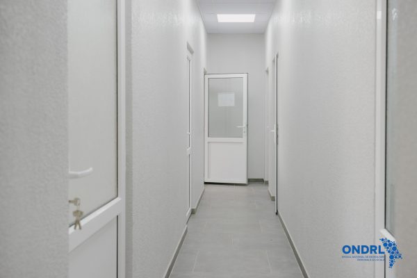 577034865_797003346423089_7817526700550781176_n