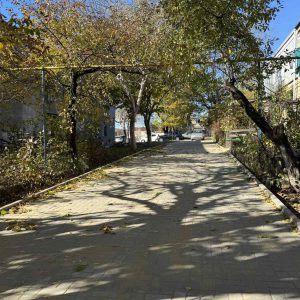 577601473_1151285777154306_7673937669536383076_n