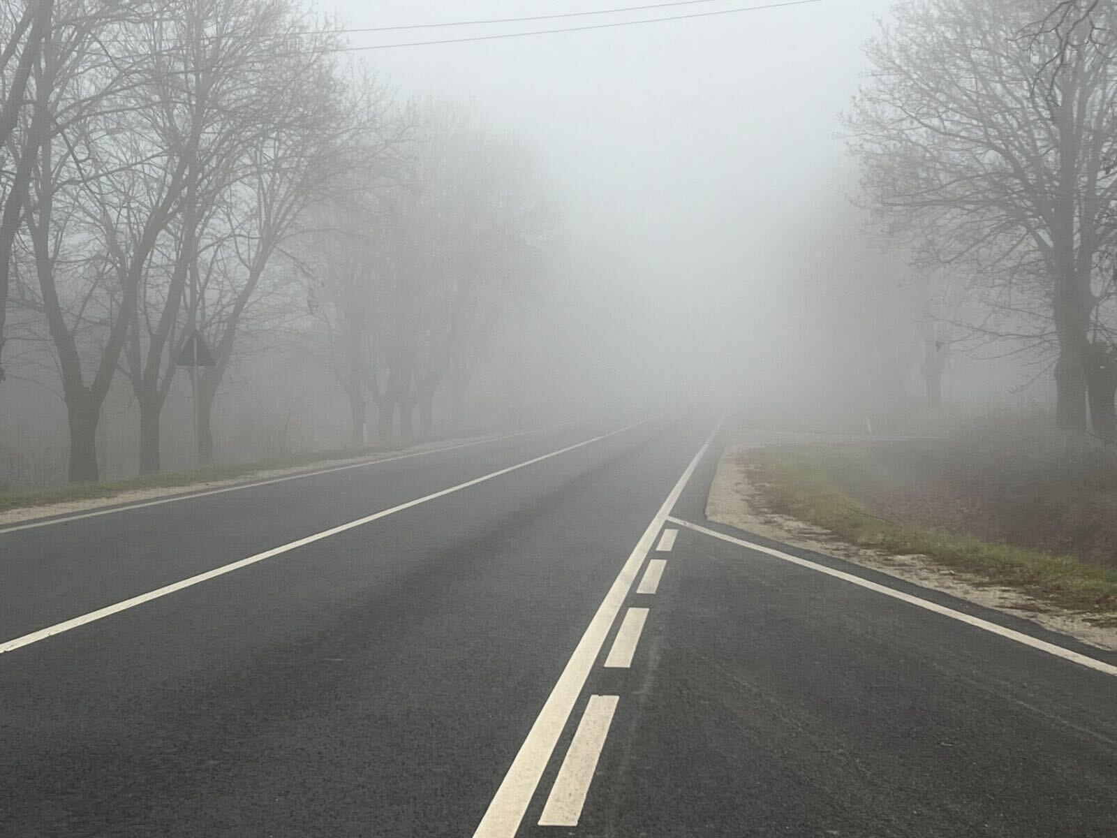 577895273_1159702176348782_7692467481886330109_n