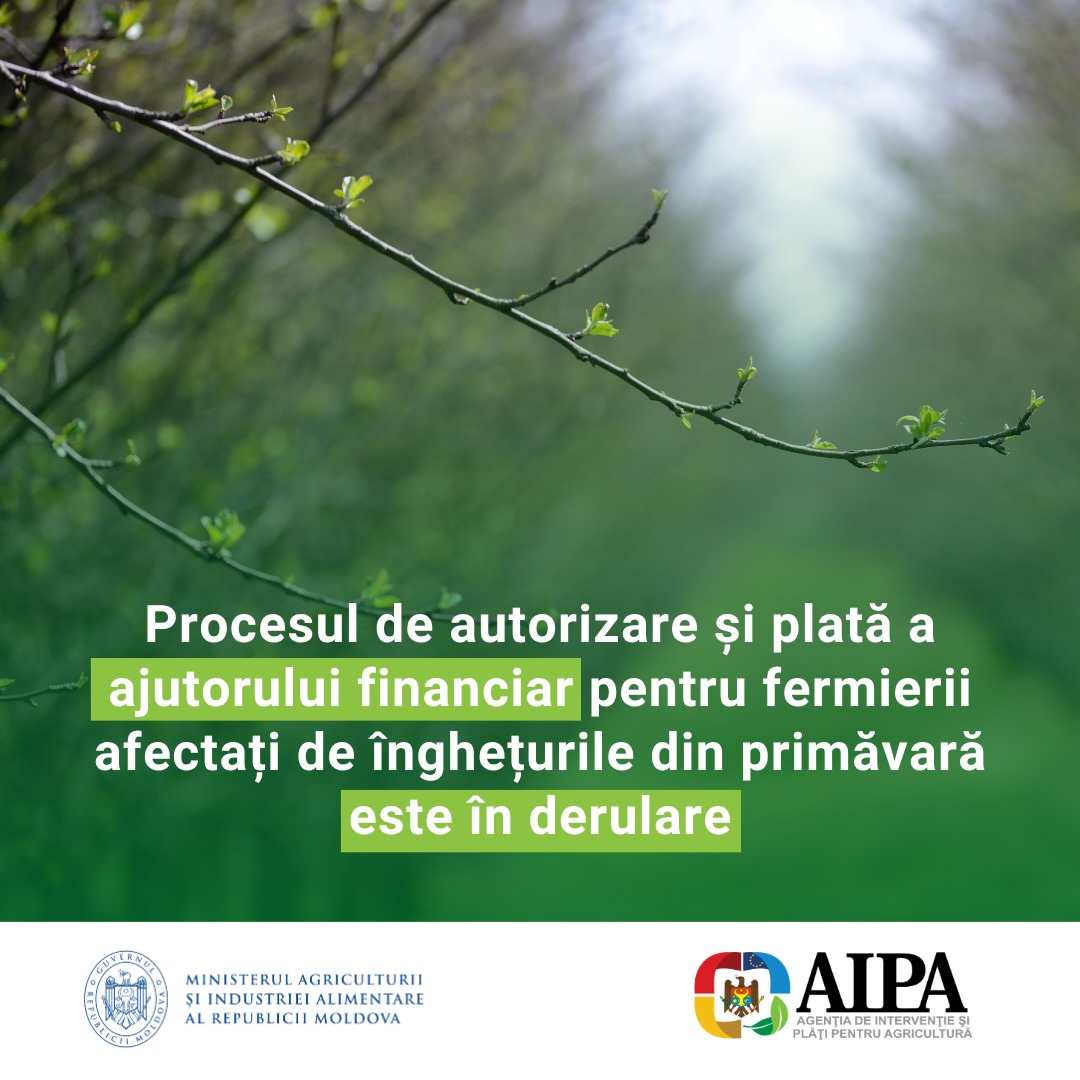 580937031_1279627320860665_3004112034891587188_n