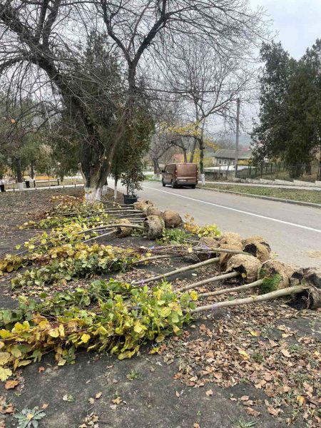 581147329_1154778340138383_3870753905872424548_n