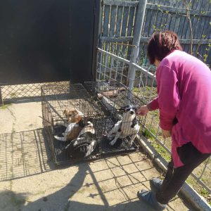 581523847_1309667857871944_8414106427893512732_n