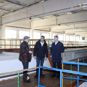 582292965_1714085153134424_3527663518129441803_n