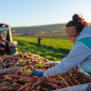 582643515_1260825962756261_593855593843623803_n