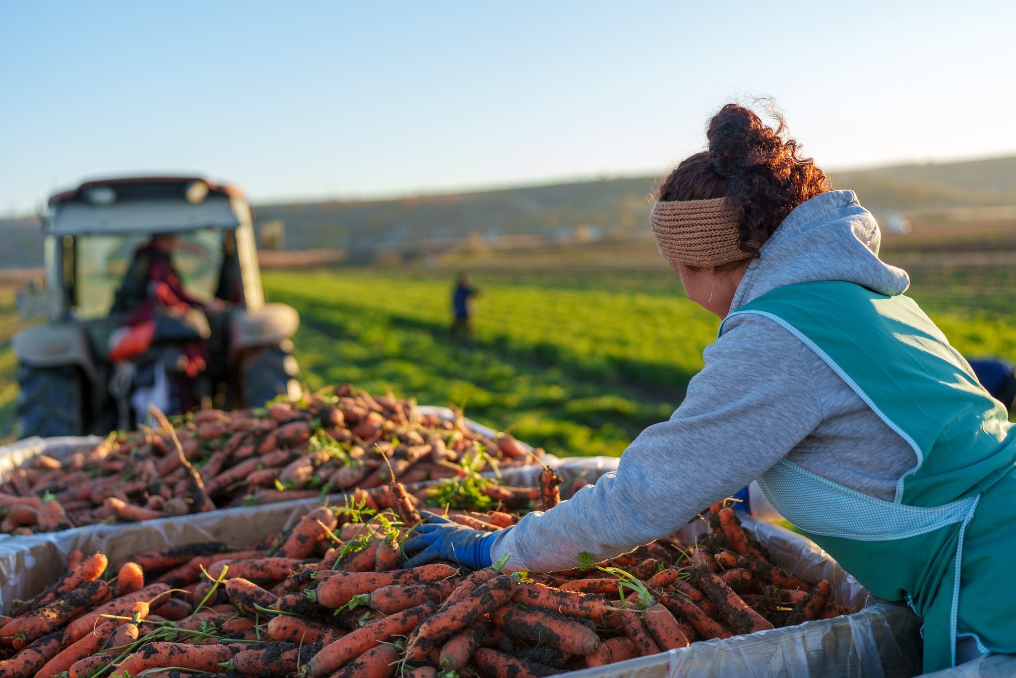 582643515_1260825962756261_593855593843623803_n