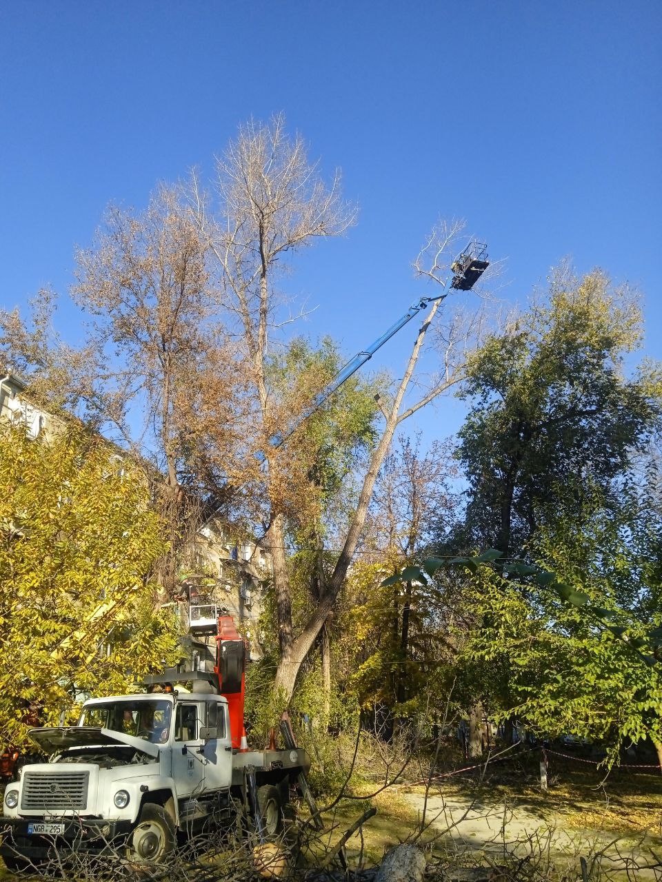 583123500_1261007126064331_374770758688942146_n