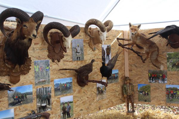 583916360_1309292311229384_5823375676104584262_n