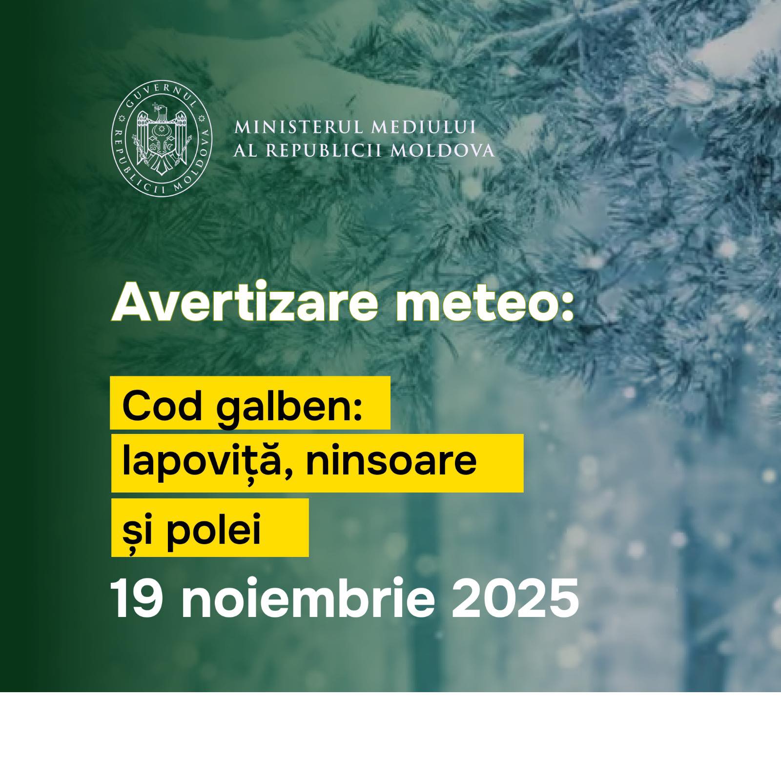 583993894_1221578686696275_4456186871914954919_n