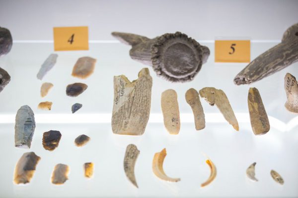 585527010_876896091679861_9110253943539381997_n