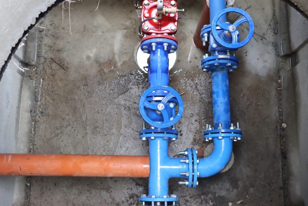 587103917_1296020012564030_556769829204154414_n