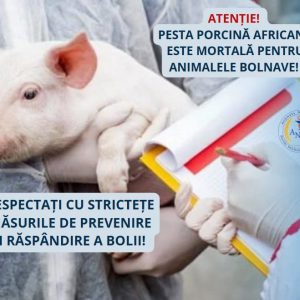 587324715_1686469379342677_5008863949291094408_n