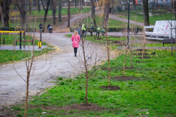 589621465_884274557608681_5129187376629785522_n