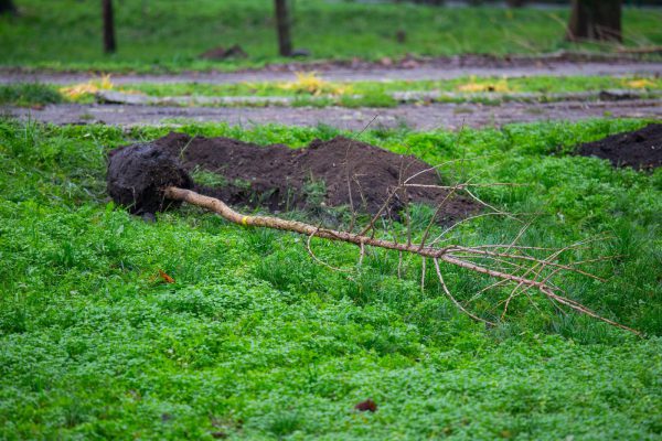 591440385_884274170942053_3998896293585240304_n