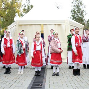 IMG_20251108_193113_809