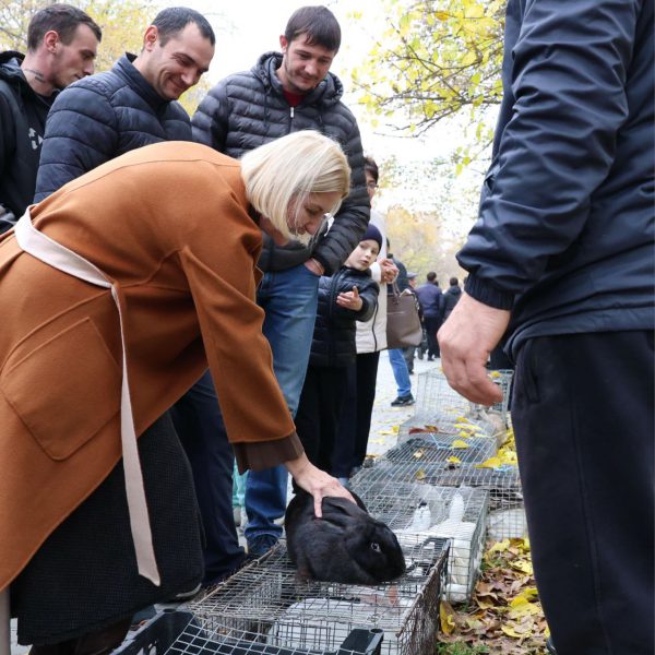 IMG_20251108_193114_222