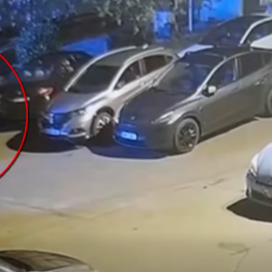 Screenshot 2025-11-10 124336