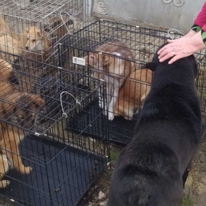 Screenshot 2025-11-13 115246