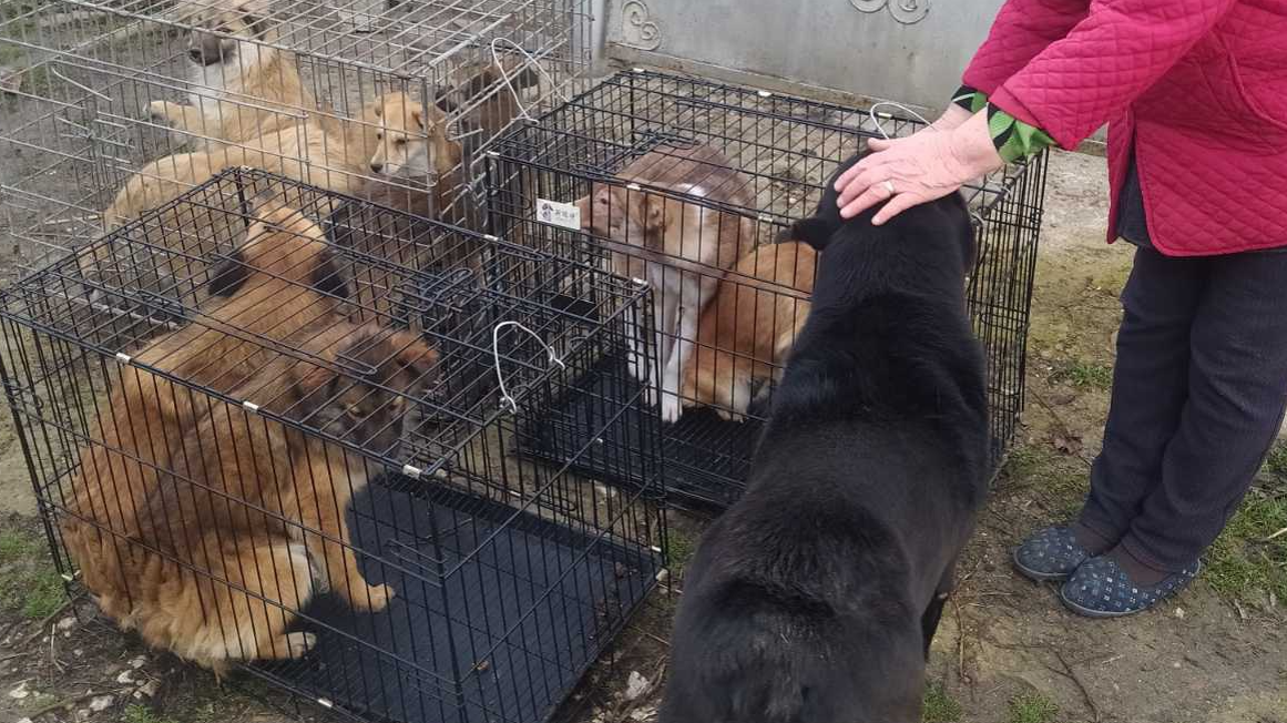 Screenshot 2025-11-13 115246