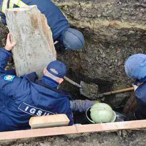 Screenshot 2025-11-14 131025