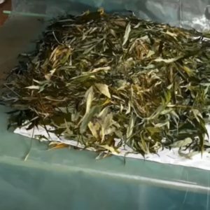 Screenshot 2025-11-20 171526