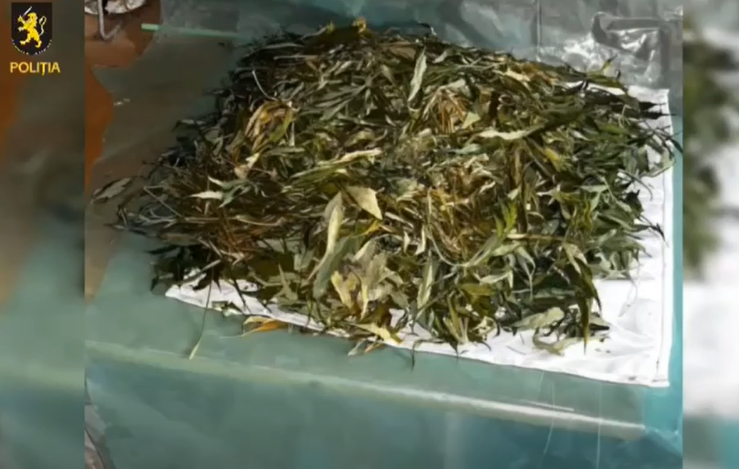 Screenshot 2025-11-20 171526