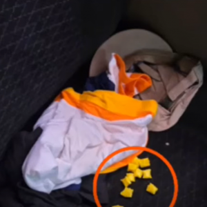 Screenshot 2025-11-21 153653