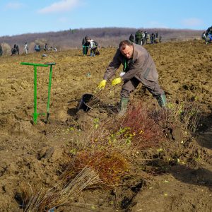 WhatsApp Image 2025-11-17 at 10.46.19 (1).jpeg