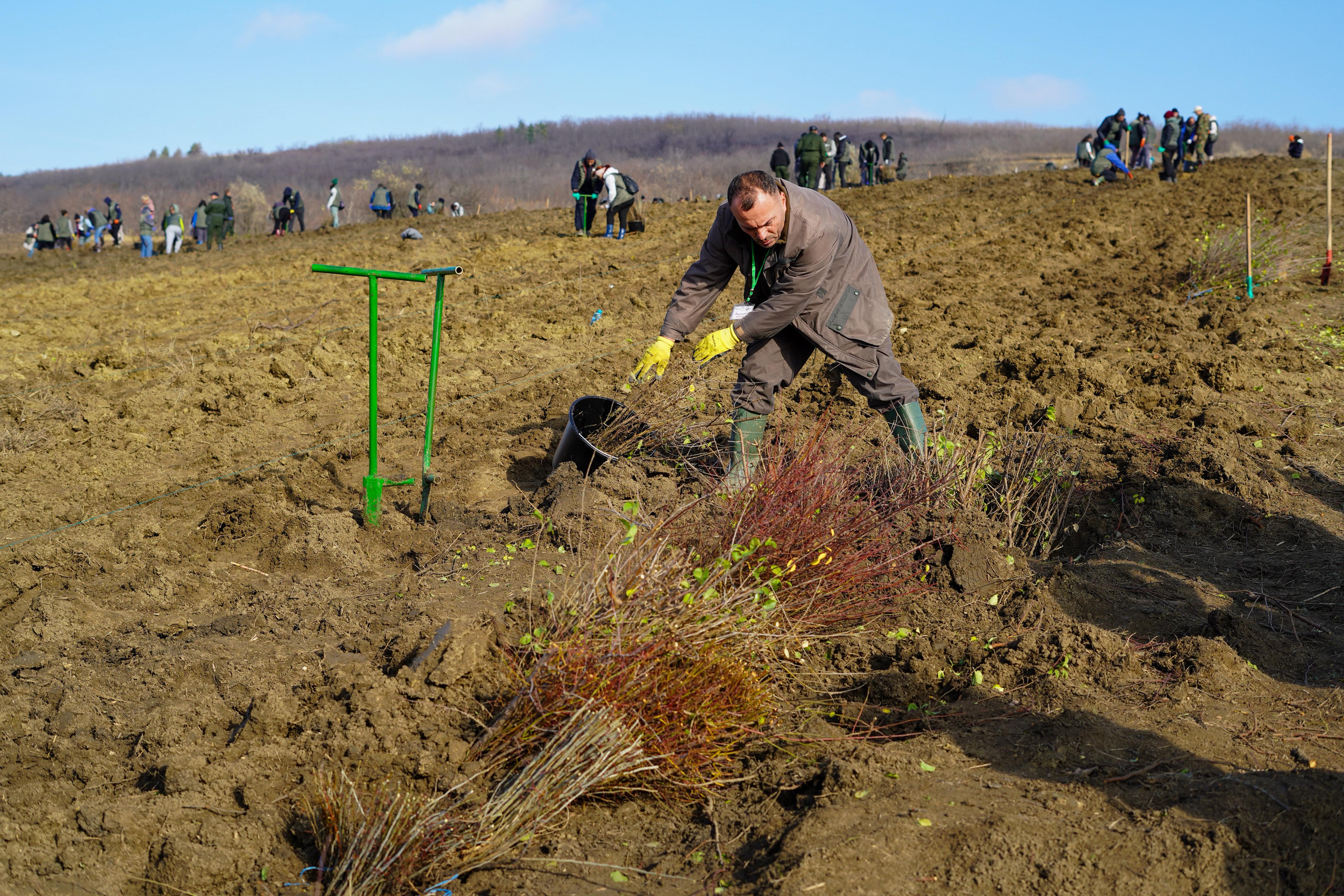 WhatsApp Image 2025-11-17 at 10.46.19 (1).jpeg