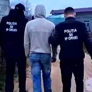 f6d2a4ae-3568-41d6-9985-94208057397f