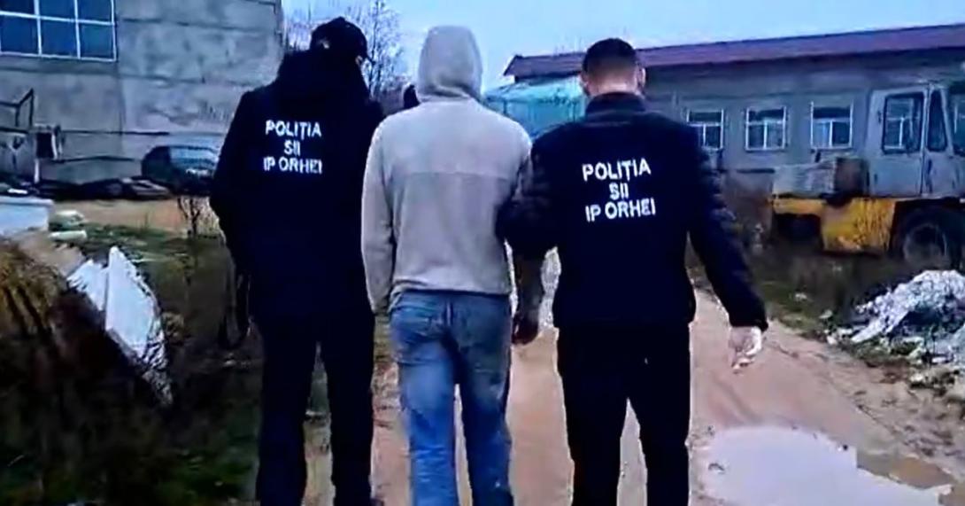 f6d2a4ae-3568-41d6-9985-94208057397f