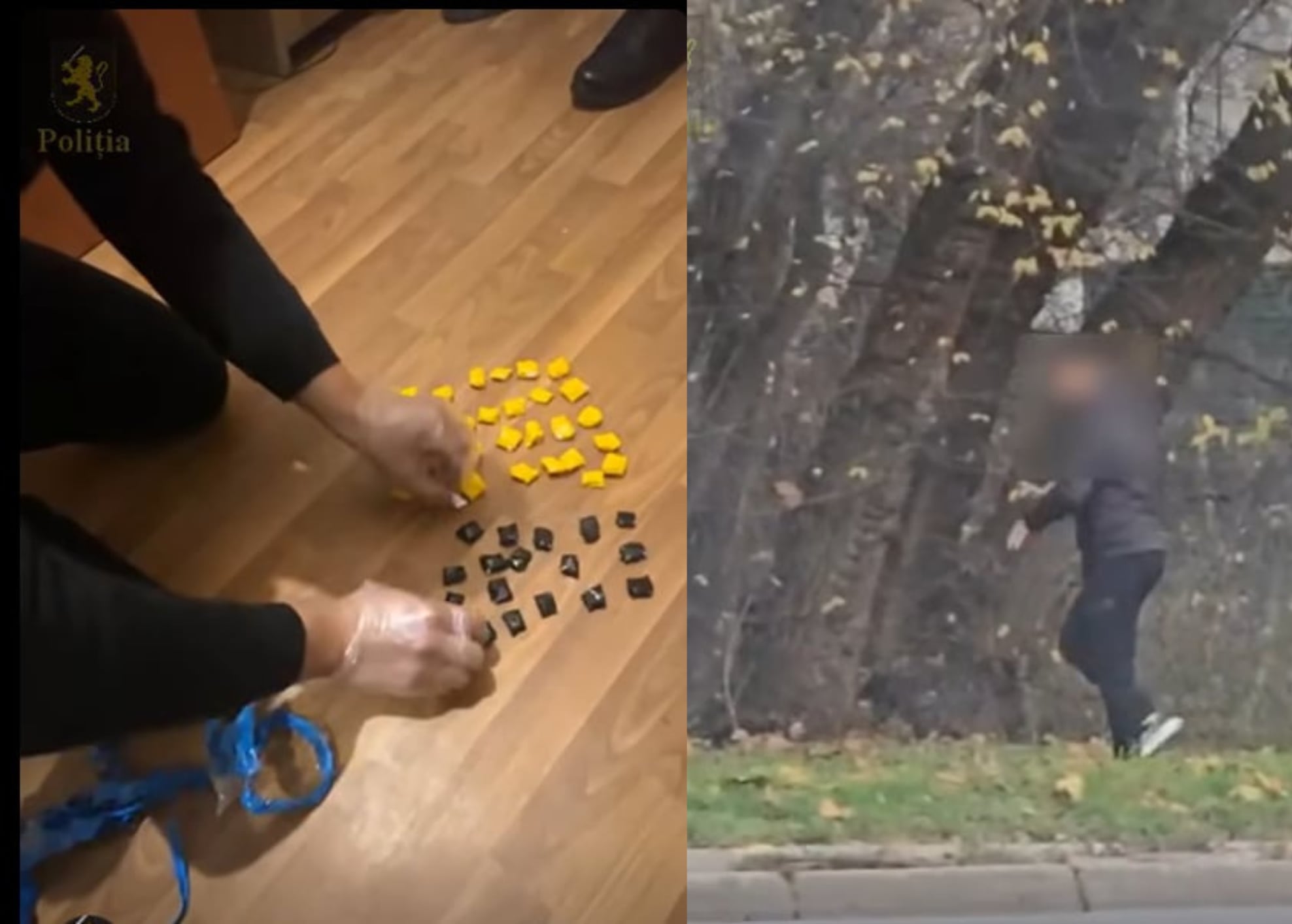 08188f72-4085-4724-9f48-cb1cf9129e9d