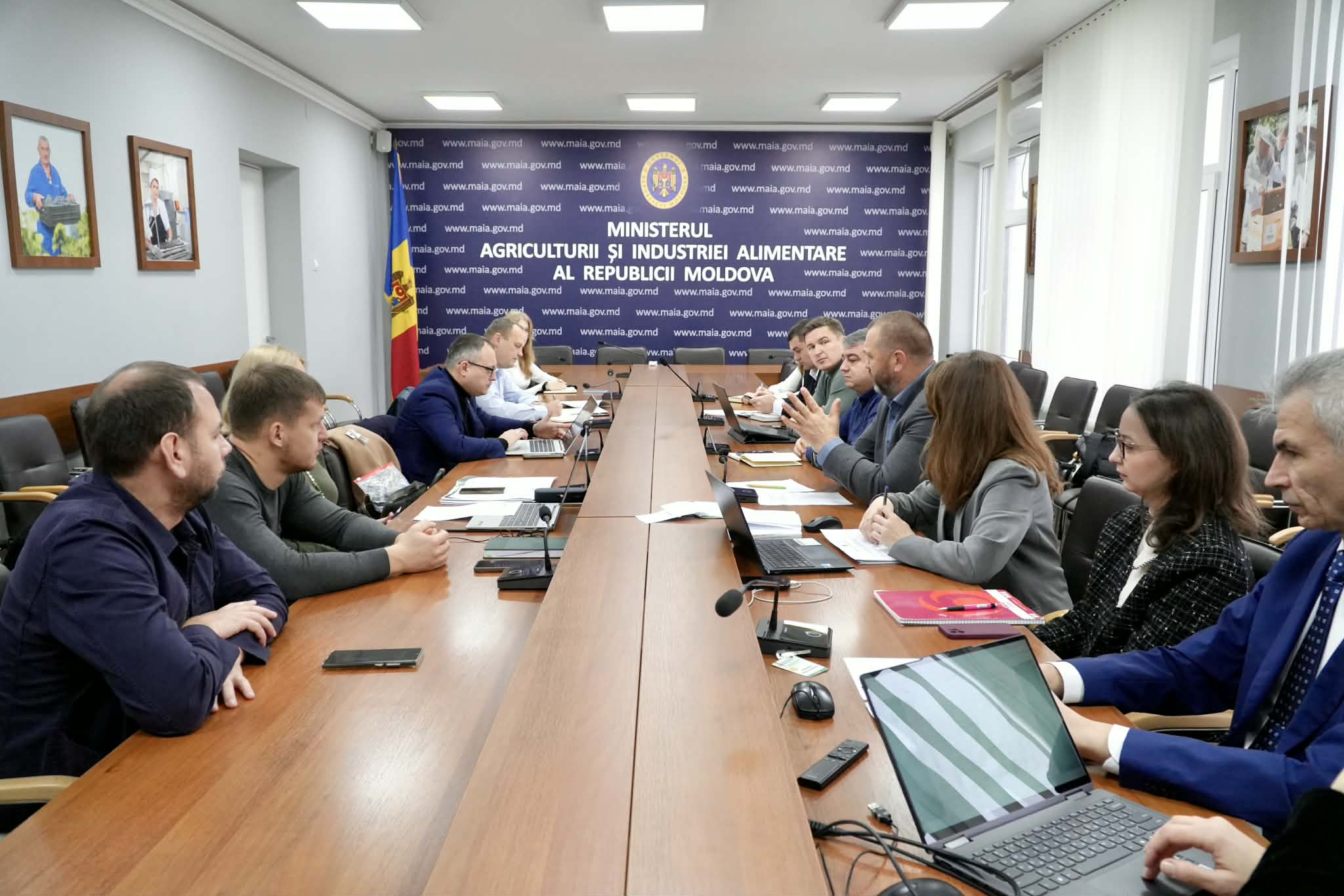 1e061f15-e1de-462d-818c-c429353919f2