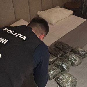 2afdacaf-4ffa-47f6-8320-46733f134aaf