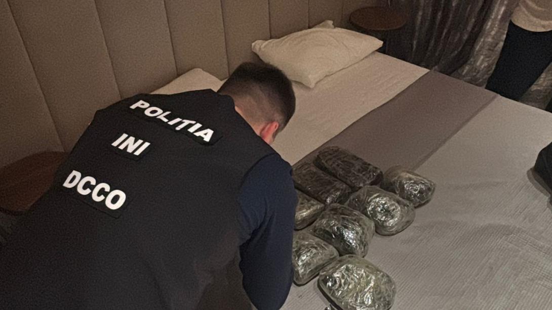 2afdacaf-4ffa-47f6-8320-46733f134aaf