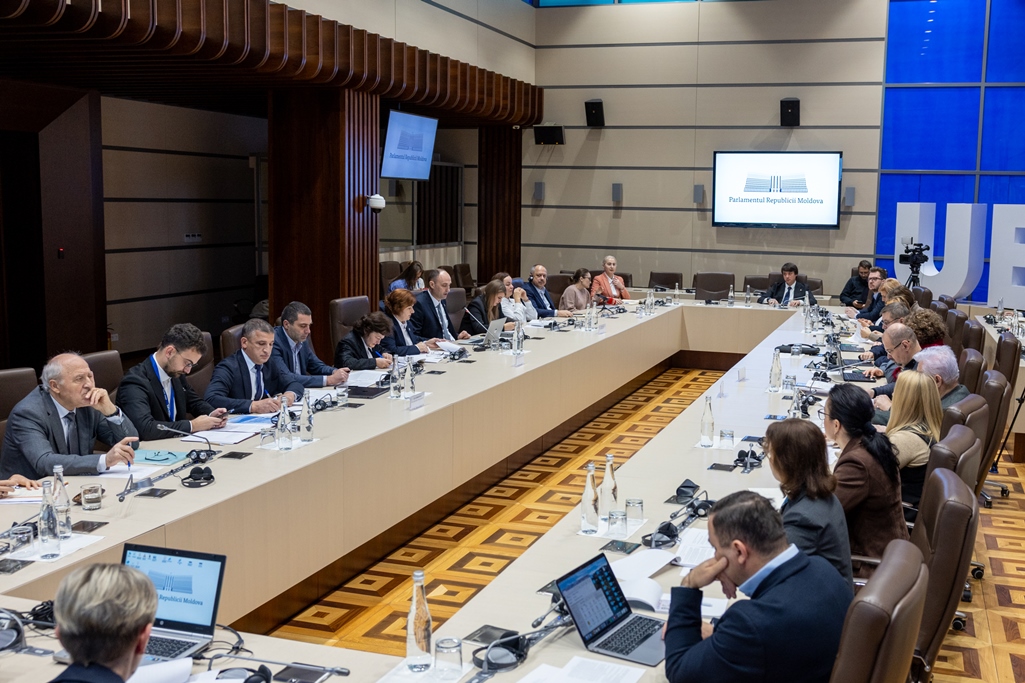 54961226204_fc712629ae_o