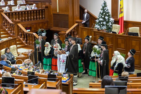 54988067501_bb1c96a791_b