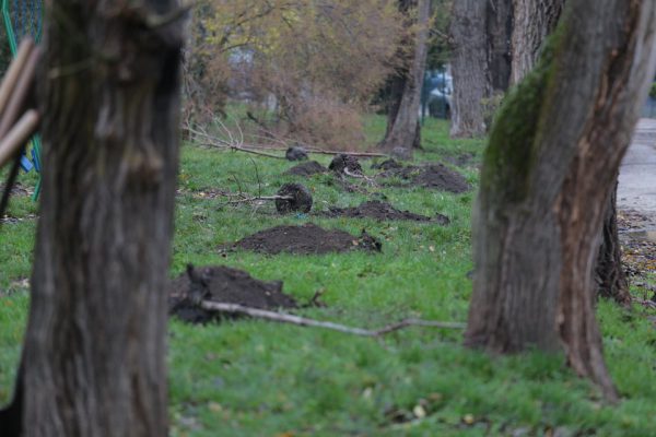 590727008_886581737377963_325619339311474064_n