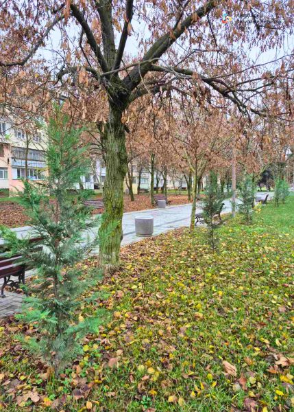 590806637_1730923374783935_363191004416357066_n