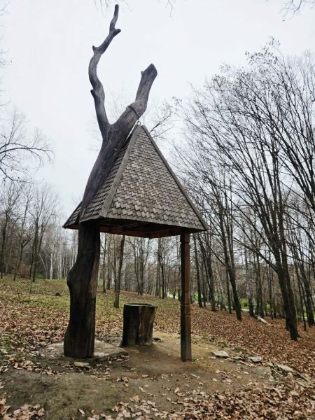 590968382_855482104080595_932763424372699550_n