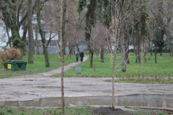 591765644_886581854044618_7100254069349243497_n