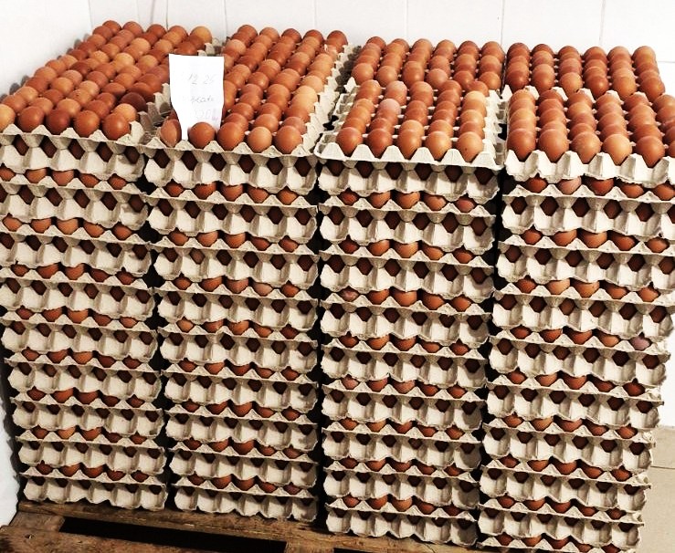 591837291_1149950170647018_7193670234838308997_n