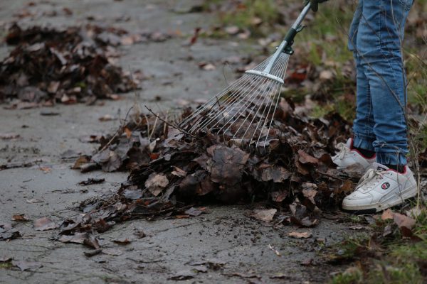 591855884_887138000655670_8313168690562716090_n