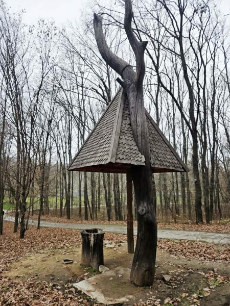 592258457_1218453630345755_2220890112949133038_n