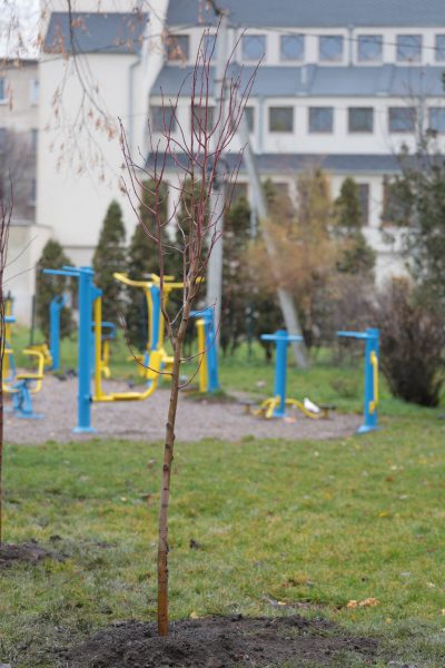 592390737_886582260711244_1320892957542176861_n