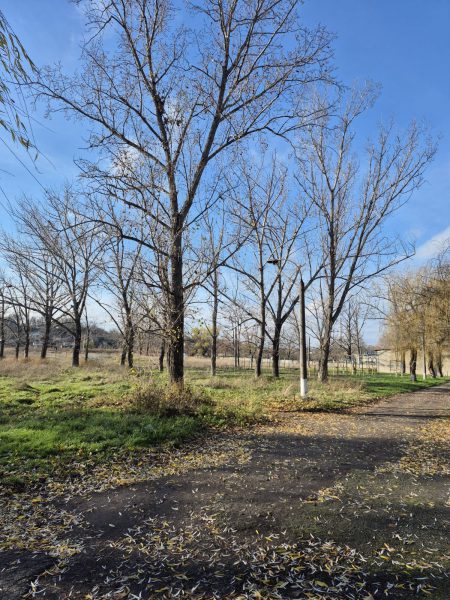 592728548_887138203988983_5625921767824997462_n