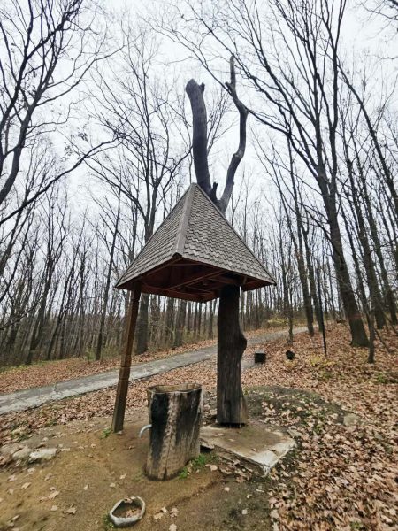 592829454_2047884959313494_1430965405084292168_n