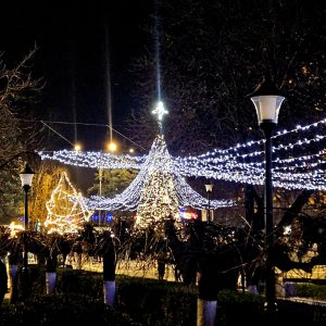 594358453_1260266412798515_113027102733030342_n