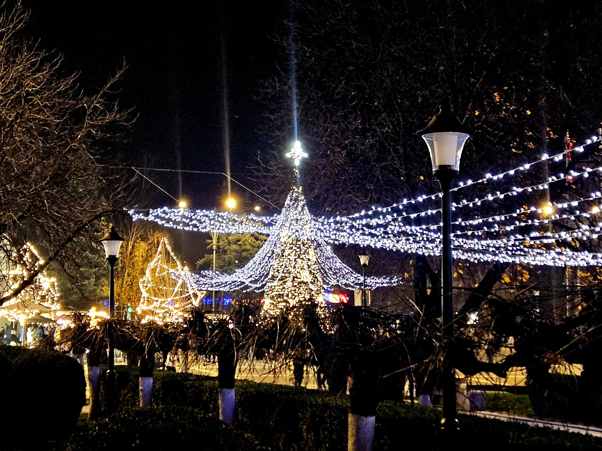 594358453_1260266412798515_113027102733030342_n